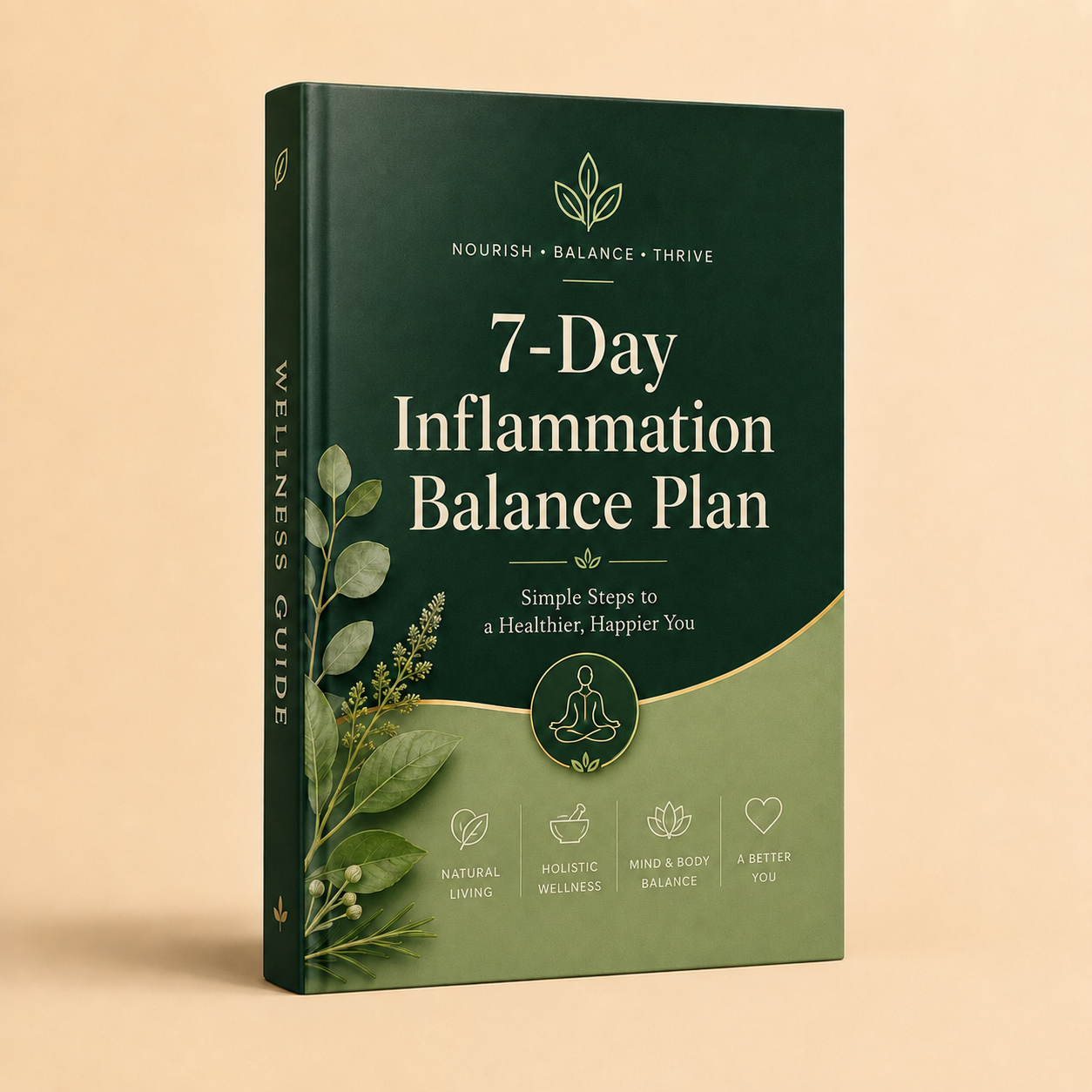 Inflammation Balancing Plan